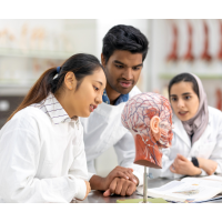 Anatomy and Medical Terminology